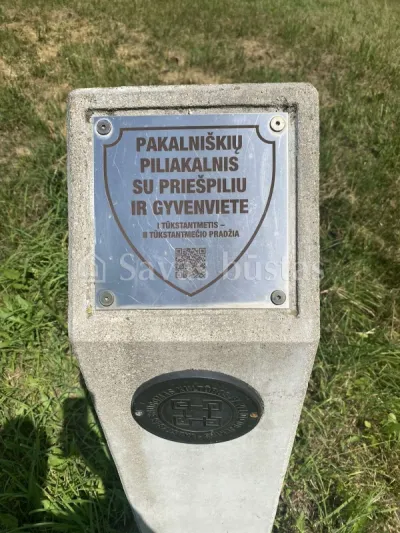 NT ekspertai dalyvavo tradiciniame vasaros žygyje – nuotrauka 22