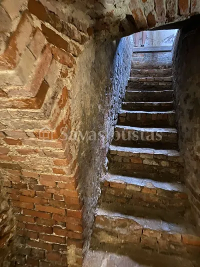 NT ekspertai dalyvavo tradiciniame vasaros žygyje – nuotrauka 20