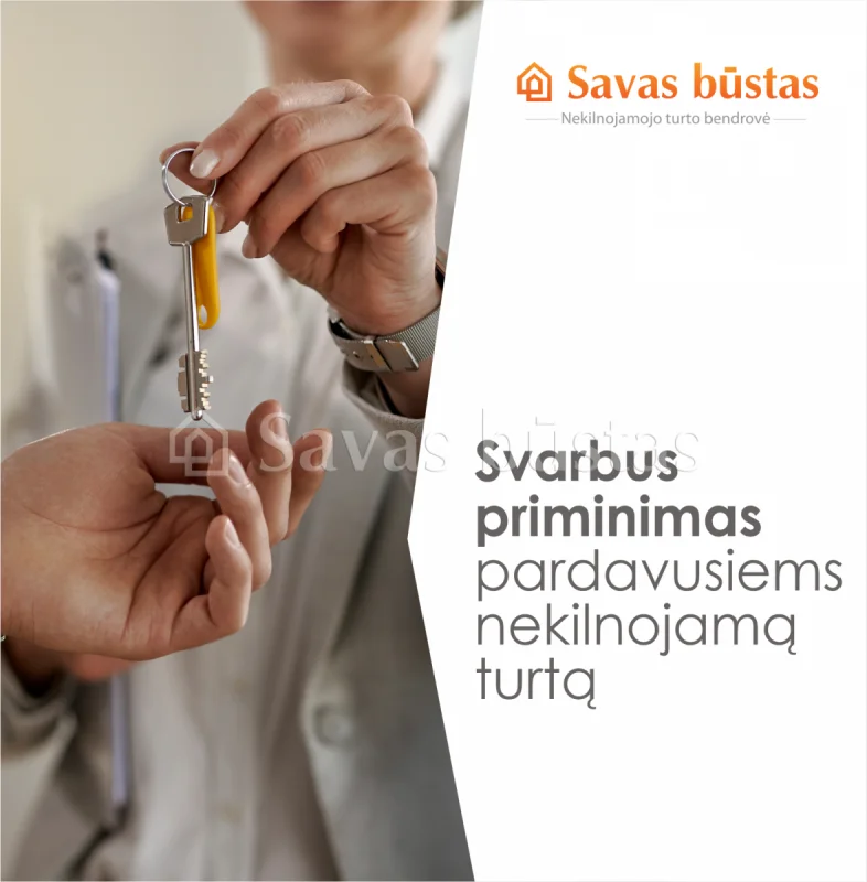Iki pajamų deklaravimo pabaigos liko mažiau nei mėnuo