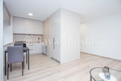 Išnuomojamas miesto centre pilnai įrengtas 2 kambarių butas, Vasario 16-osios g. 31, Šiauliuose