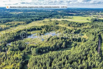 Parduodami du 11,61 ha bendro ploto sklypai gamtos apsuptyje, Lieplaukės k., Telšių r. (nuotrauka 4)