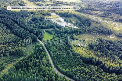 Parduodami du 11,61 ha bendro ploto sklypai gamtos apsuptyje, Lieplaukės k., Telšių r. (nuotrauka 3)