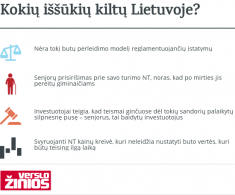 Investicinis planas jaunuoliui: i&scaron;sipirk senjoro butą