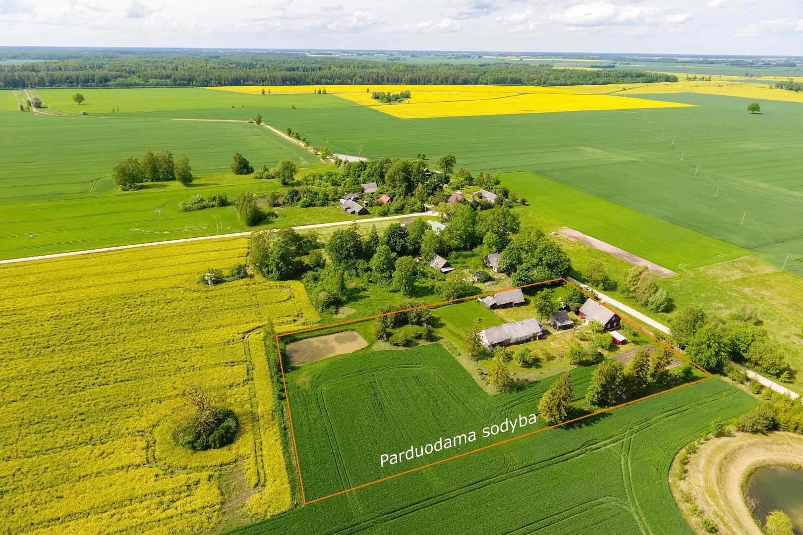 Parduodama prižiūrėta sodyba Joniškio r., Bilžių k.