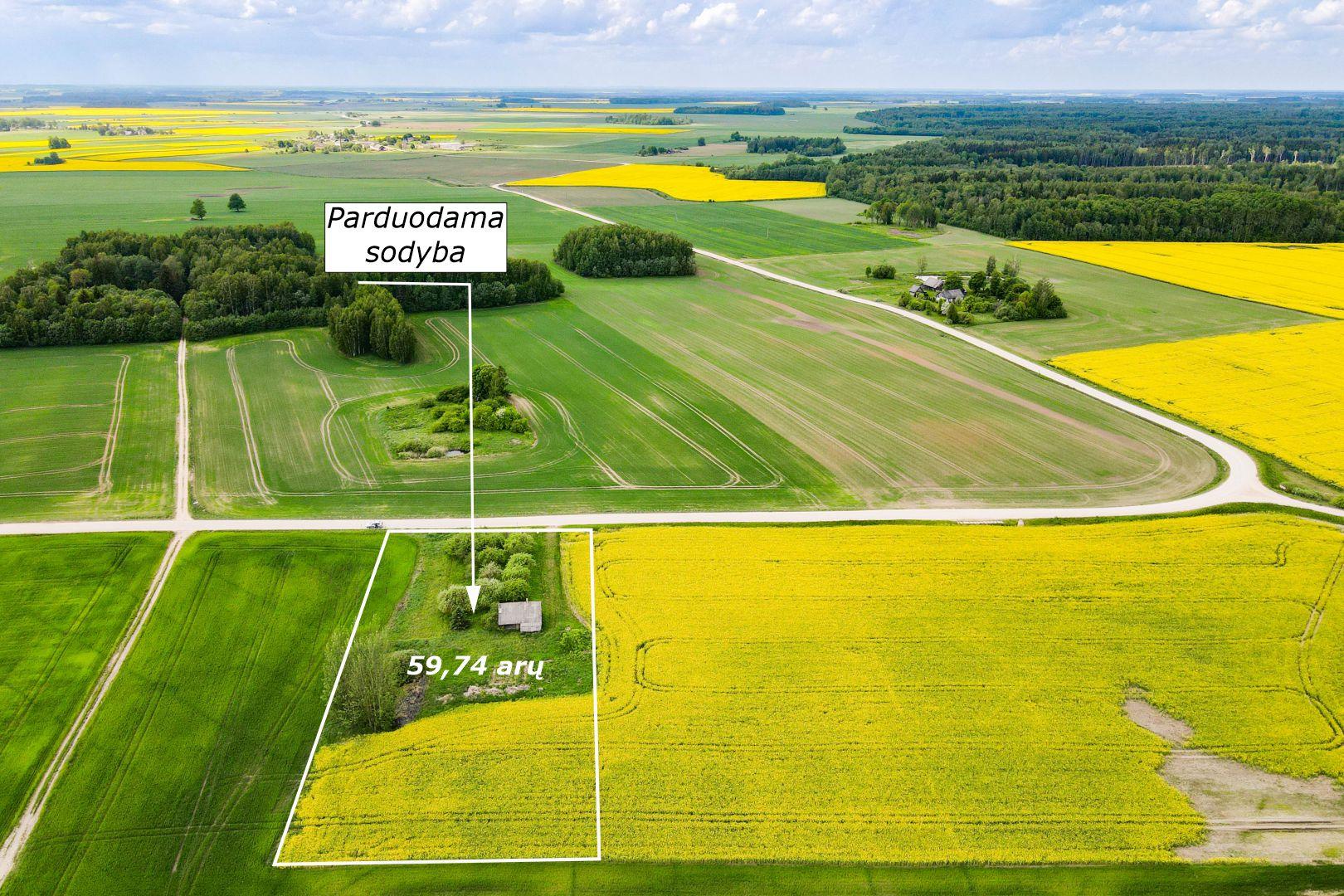 Parduodama sodyba su 59,74 arų namų valdos sklypu Aušrėnų k., Radviliškio r.