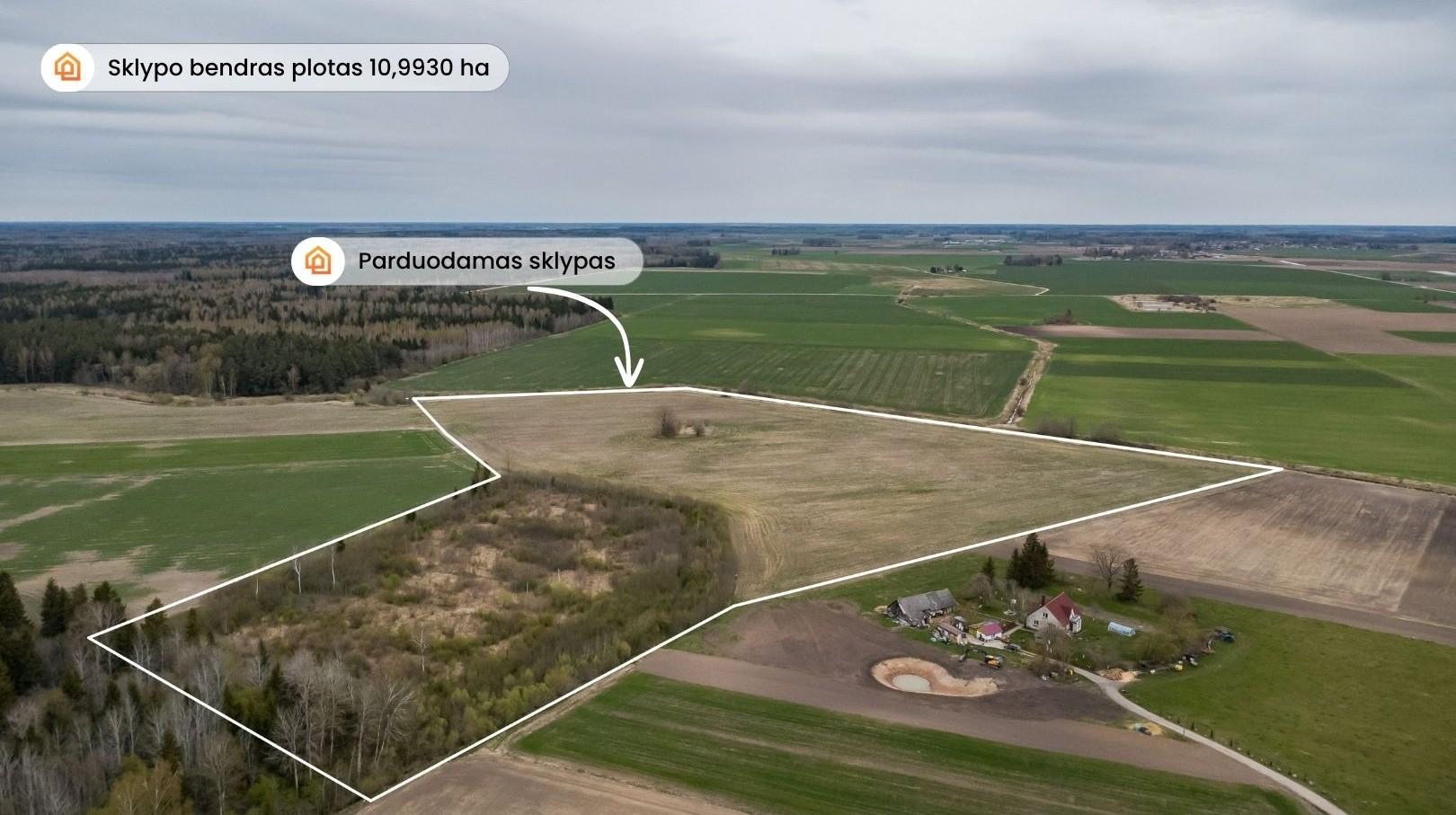 Parduodamas 10,9930 ha žemės ūkio paskirties sklypas Amalių k., &Scaron;iaulių r.