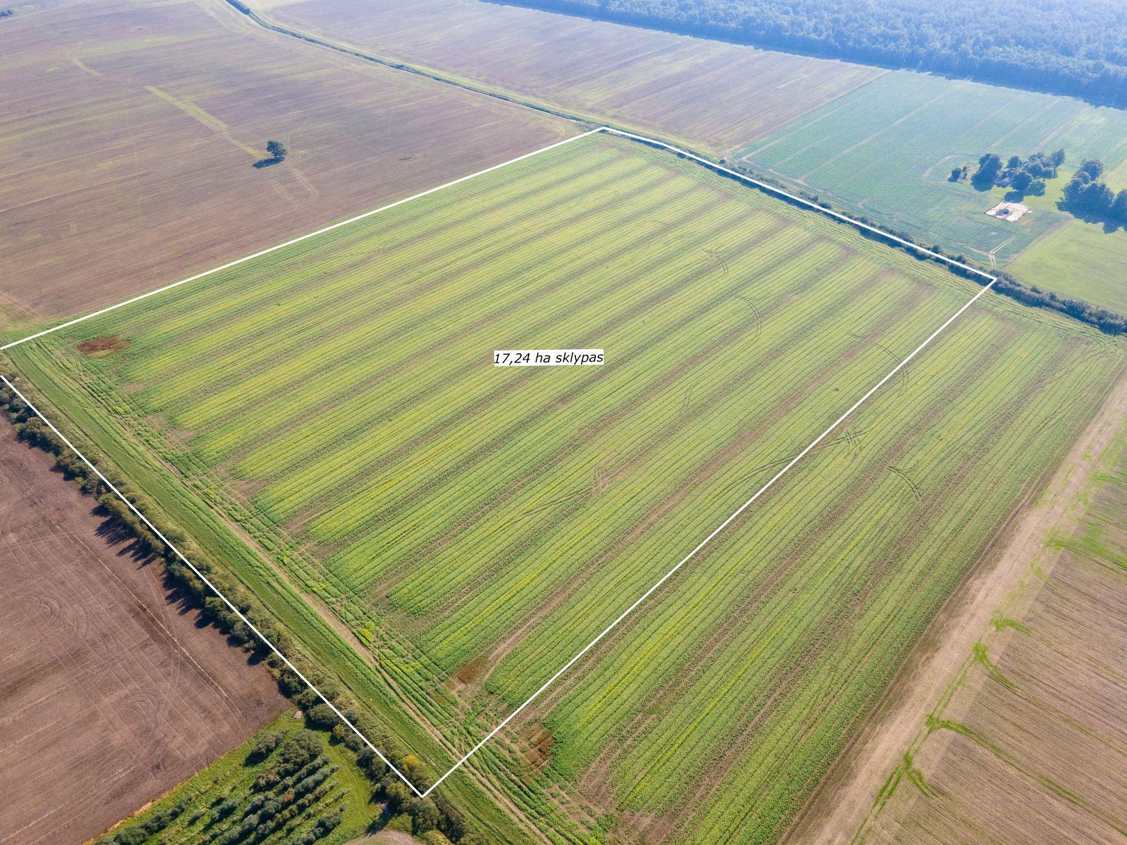 Parduodamas 17,24 ha, aukšto našumo balą turintis žemės ūkio paskirties sklypas, Suginčių k., Akmenės r.