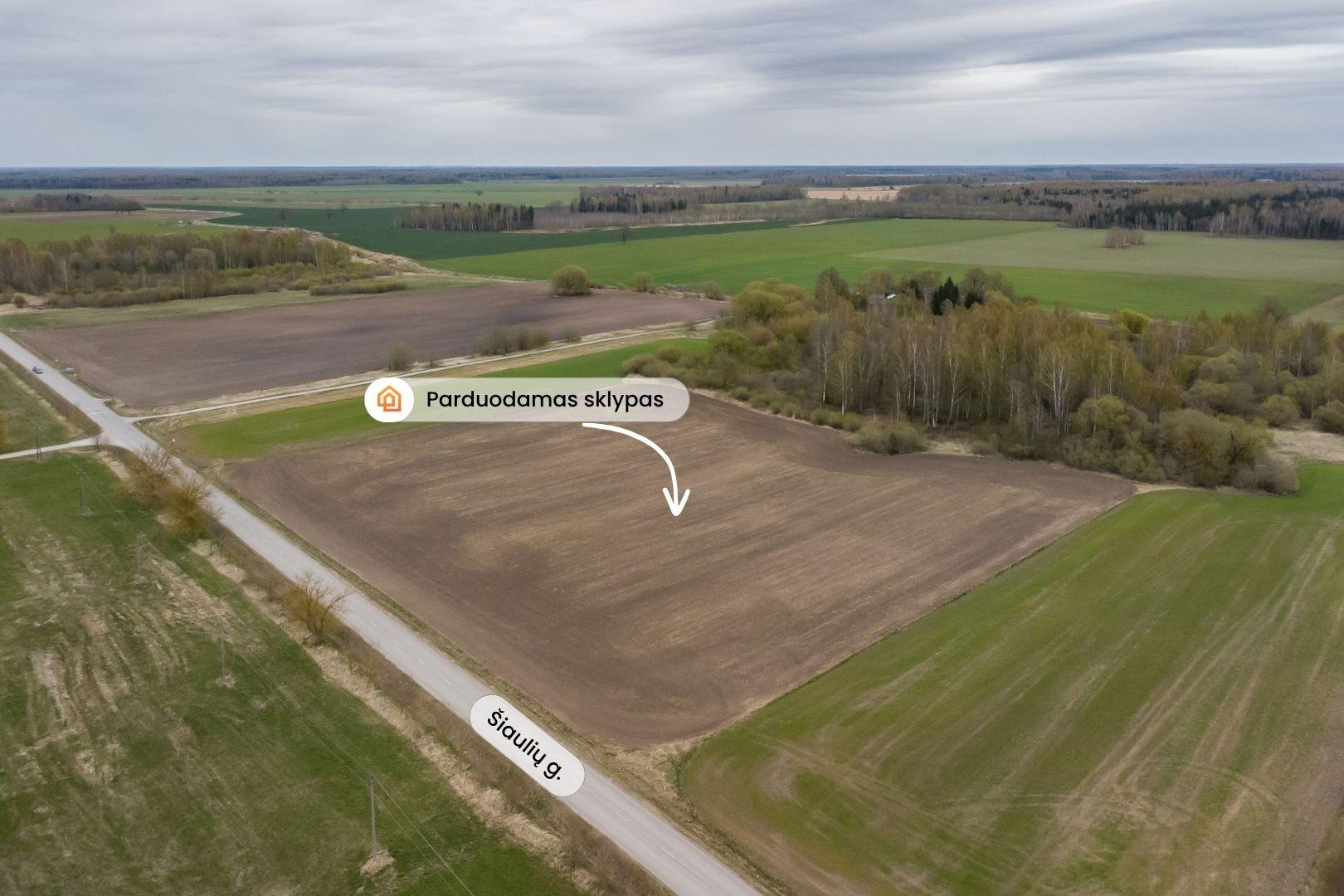 Parduodamas 2,4134 ha žemės ūkio paskirties sklypas Pakruojo rajone &ndash; Beinoraičių k.
