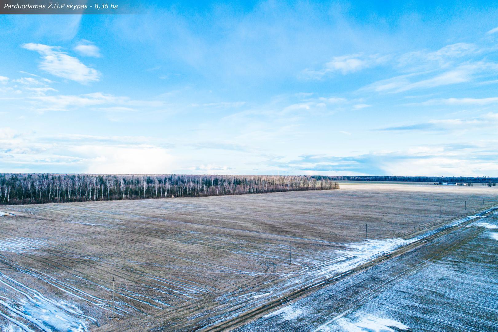 Parduodamas 8,36 ha  Ž.Ū.P. sklypas Bernatonių k., Panevėžio r.