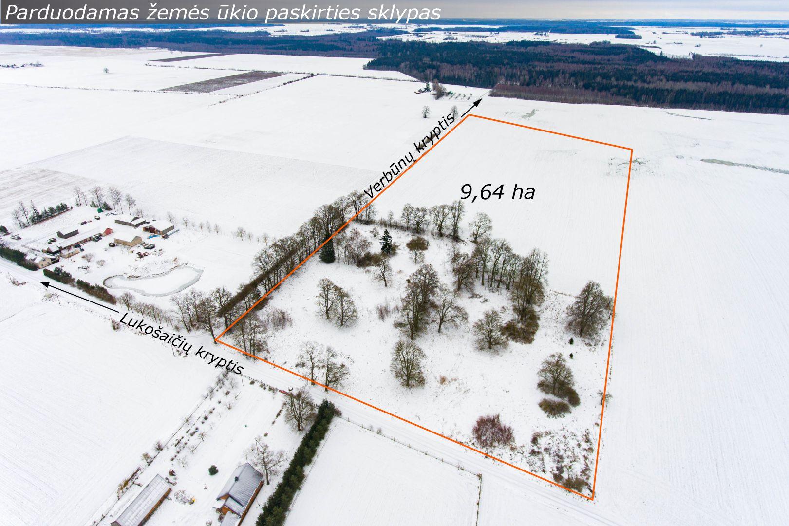Parduodamas 9,64 ha žemės ūkio paskirties sklypas Augučių k., Šiaulių r.