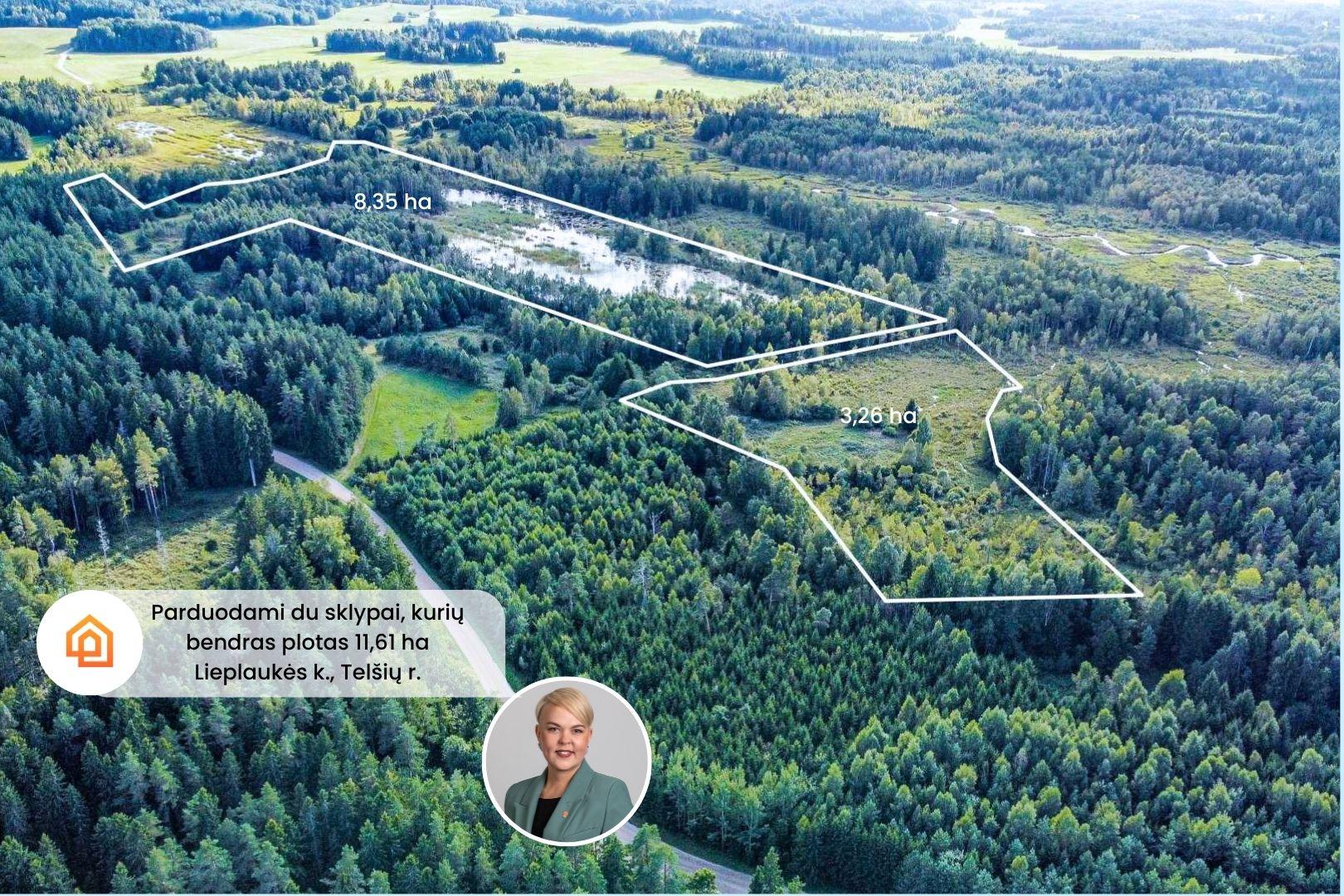Parduodami du 11,61 ha bendro ploto sklypai gamtos apsuptyje, Lieplaukės k., Tel&scaron;ių r.