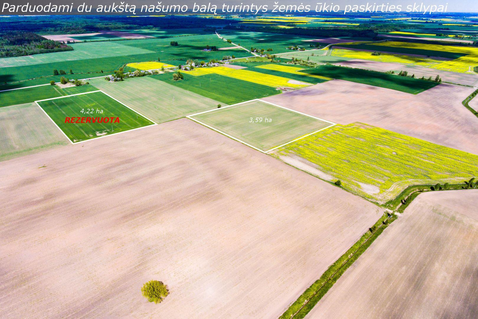 Parduodami du aukštą našumo balą turintys žemės ūkio paskirties sklypai Damelių k., Žagarės sen., Joniškio r.
