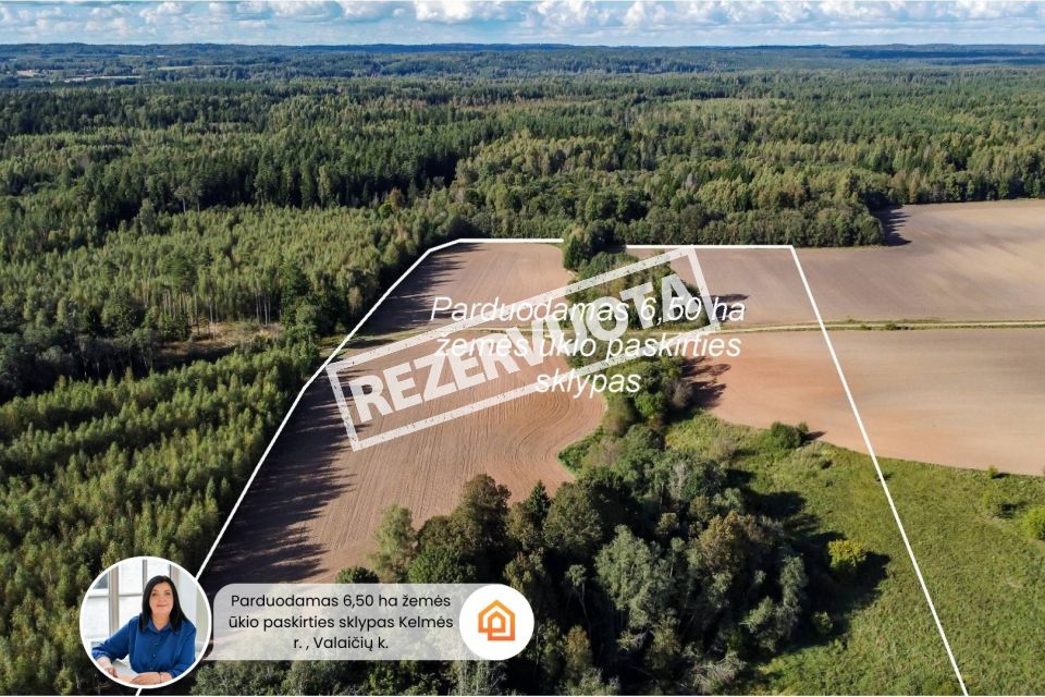 Parduodamas 6,50 ha žemės ūkio paskirties sklypas Kelmės r., Tytuvėnų sen., Valaičių k.
