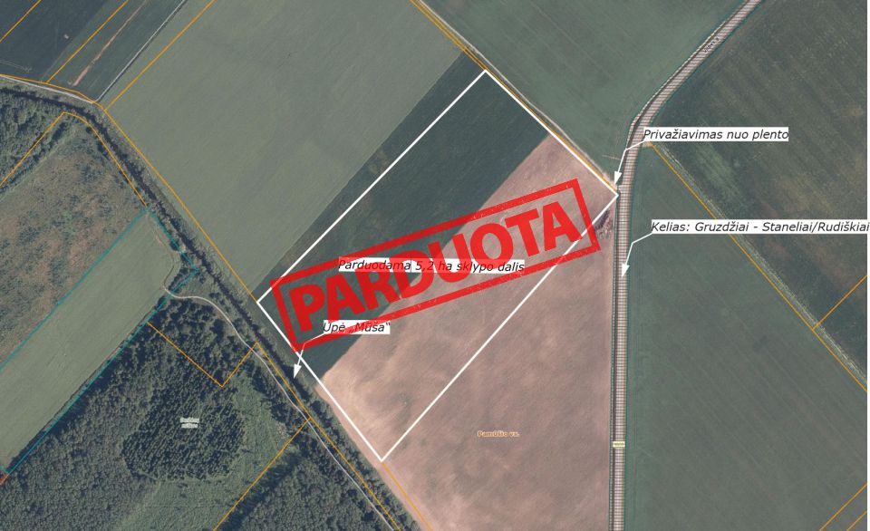 Parduodama 5,20 ha žemės ūkio paskirties sklypo iš bendro 8,10ha, geras privažiavimas (sklypas randasi prie asfaltuoto kelio Gruzdžiai – Staneliai/Rudiškiai).