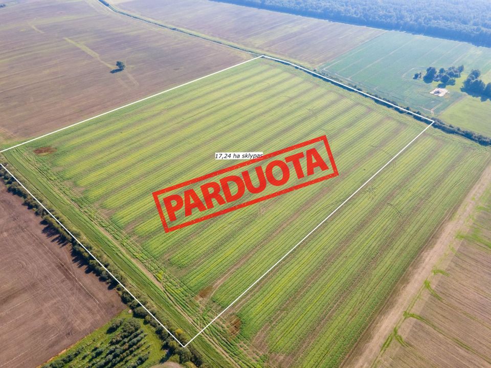 Parduodamas 17,24 ha, aukšto našumo balą turintis žemės ūkio paskirties sklypas, Suginčių k., Akmenės r.