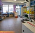 Išnuomojamos komercinės paskirties patalpos Šiauliuose, Pramonės g. 15