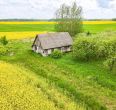 Parduodama sodyba su 59,74 arų namų valdos sklypu Aušrėnų k., Radviliškio r.