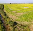 Parduodamas 17,24 ha, aukšto našumo balą turintis žemės ūkio paskirties sklypas, Suginčių k., Akmenės r.