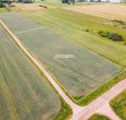 Parduodamas 1,085 ha žemės ūkio paskirties sklypas Gluosnių g., Meškių k., Šiaulių r.
