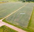 Parduodamas 1,085 ha žemės ūkio paskirties sklypas Gluosnių g., Meškių k., Šiaulių r.