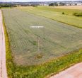 Parduodamas 1,085 ha žemės ūkio paskirties sklypas Gluosnių g., Meškių k., Šiaulių r.