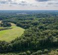 Parduodamas 37,82 ha i&scaron;puoselėtas mi&scaron;ko masyvas Tel&scaron;ių r., Berkinėnų k./Užgirių k.