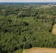 Parduodamas 37,82 ha i&scaron;puoselėtas mi&scaron;ko masyvas Tel&scaron;ių r., Berkinėnų k./Užgirių k.