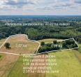 Parduodamas 37,82 ha i&scaron;puoselėtas mi&scaron;ko masyvas Tel&scaron;ių r., Berkinėnų k./Užgirių k.
