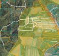 Parduodamas 37,82 ha i&scaron;puoselėtas mi&scaron;ko masyvas Tel&scaron;ių r., Berkinėnų k./Užgirių k.