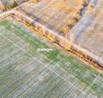 Parduodamas 43,5 arų žemės ūkio paskirties sklypas Ąžuolo g., Lukšių k., Šiaulių r.
