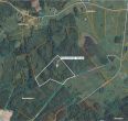 Parduodami trys sklypai, kurių bendras plotas 10,81 ha (sklypai – 8,94 ha, 1,15 ha ir 0,72 ha) žemės ūkio ir miško ūkio paskirties sklypai.