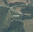 Parduodami trys sklypai, kurių bendras plotas 10,81 ha (sklypai – 8,94 ha, 1,15 ha ir 0,72 ha) žemės ūkio ir miško ūkio paskirties sklypai.