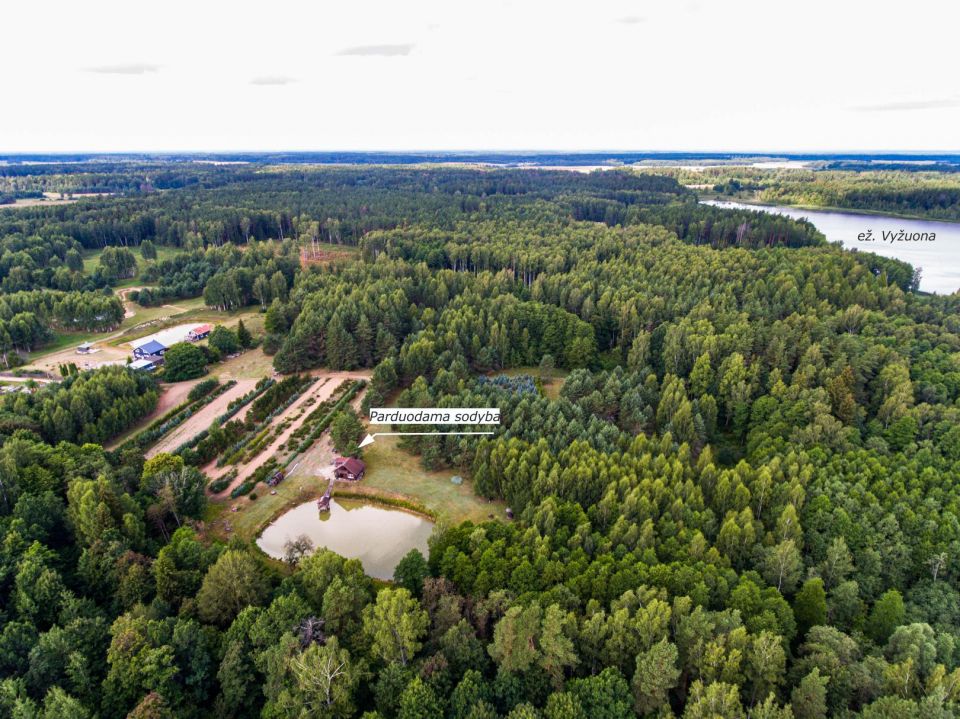 Parduodama sodyba su 2,4 ha žemės ūkio paskirties sklypu Rokiškio r., Iciūnų k..