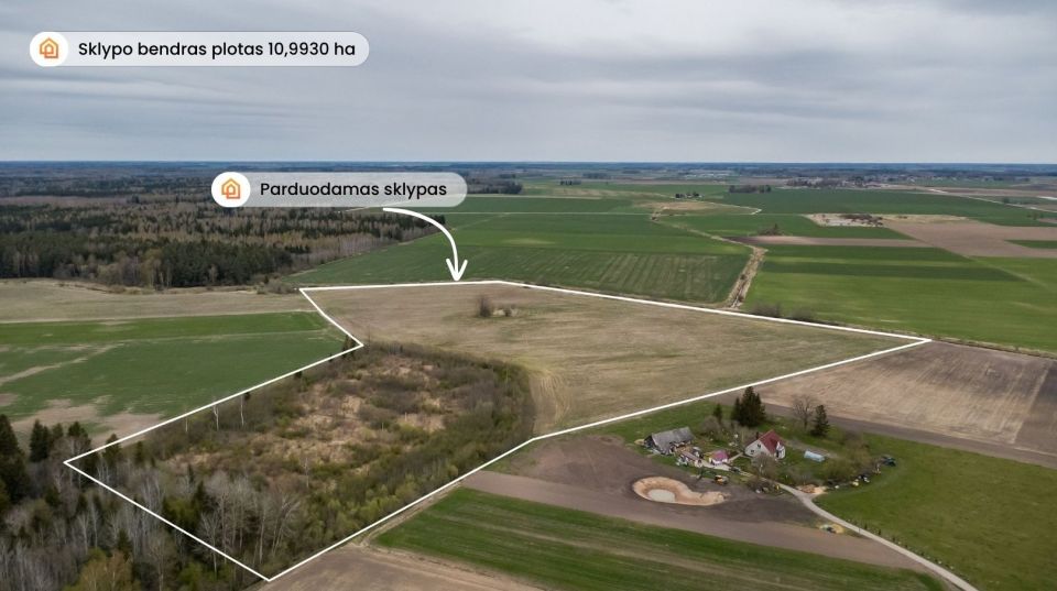 Parduodamas 10,9930 ha žemės ūkio paskirties sklypas Amalių k., &Scaron;iaulių r.