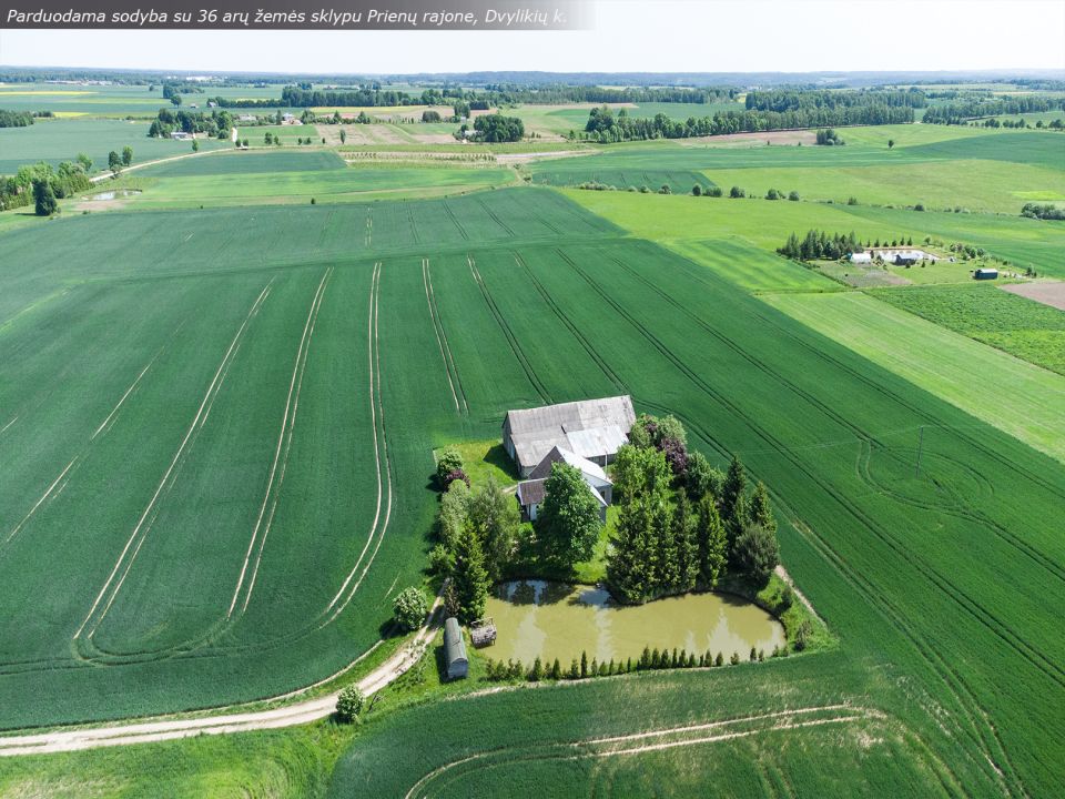 Parduodama sodyba su mūriniu namu ir 36 arų žemės sklypu, Žaros g., Dvylikių kaime, Pakuonio sen., Prienų r.