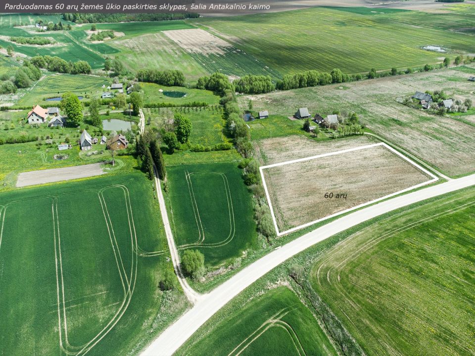 Parduodamas 60 arų žemės ūkio paskirties sklypas, Uogintų k., Kaišiadorių rajone.