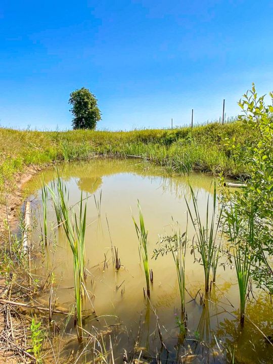 Sklypo ribose visos miesto komunikacijos. Parduodamas 20,8 arų namų valdos sklypas Jonelaičių g. 9, Sauginiai, Šiaulių r.