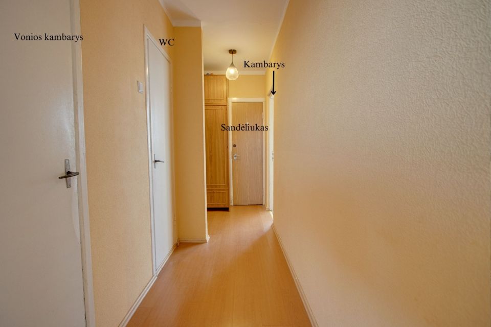 I&scaron;nuomojamas  2-jų kambarių butas Vėtrungės g. 14, Kaunas