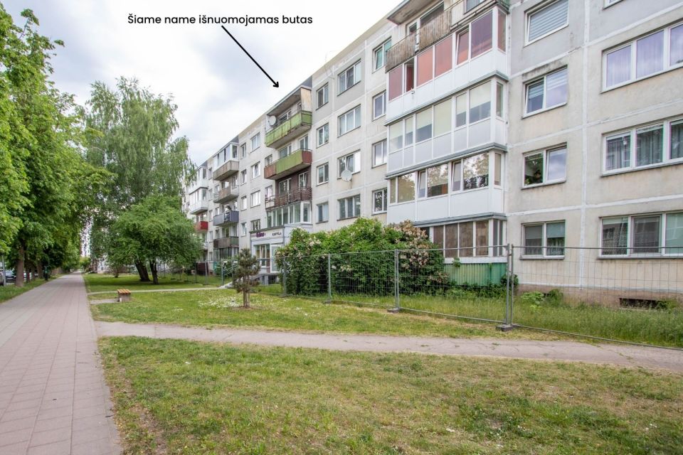 I&scaron;nuomojamas naujai kapitaliai suremontuotas 2 kambarių butas A. J. Greimo g. 62, &Scaron;iauliuose