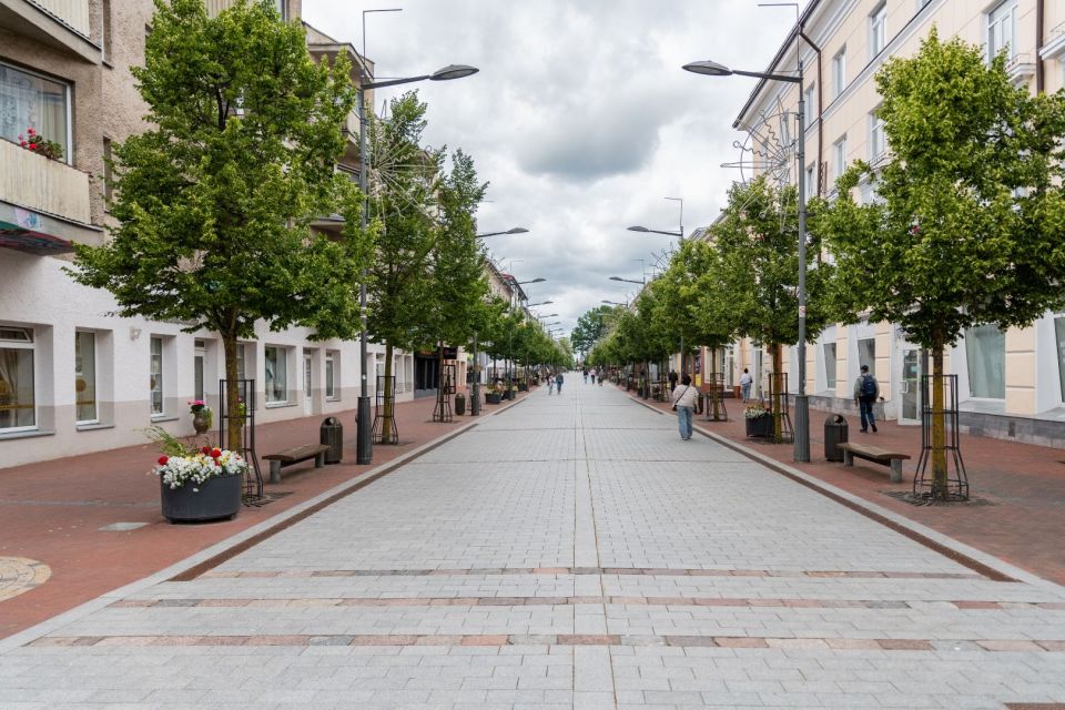 I&scaron;nuomojamas stilingas 2 kambarių butas &Scaron;iaulių bulvare &ndash; Vilniaus g. 217