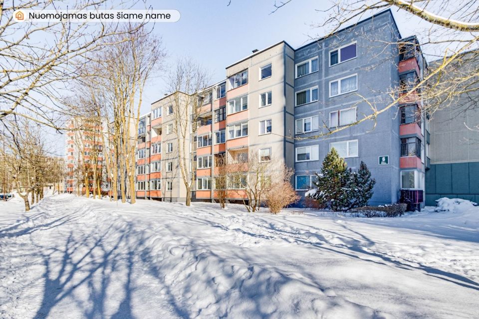 I&scaron;nuomojamas tvarkingas 2 &ndash; jų kambarių butas 2 &ndash; ame auk&scaron;te Dainų g. 6, &Scaron;iauliuose