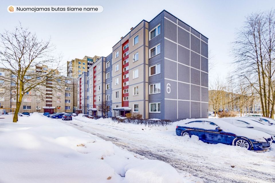 I&scaron;nuomojamas tvarkingas 2 &ndash; jų kambarių butas 2 &ndash; ame auk&scaron;te Dainų g. 6, &Scaron;iauliuose