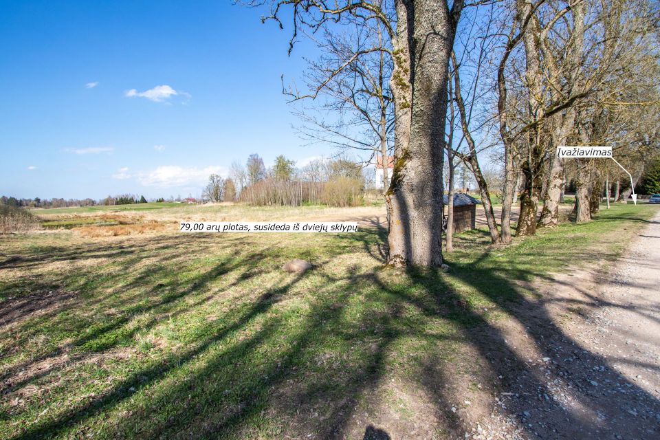 Kurtuvėnų miestelio širdyje, išskirtinėje vietoje, šalia Kurtuvėnų bažnyčios, parduodami sklypai, kurių bendras plotas 124,62 arai.