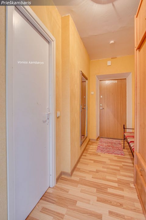 Miesto centre parduodamas erdvus vieno kambario (44,22 kv. m) butas prie pat centrinio bulvaro, Vilniaus g. 217, &Scaron;iauliuose.