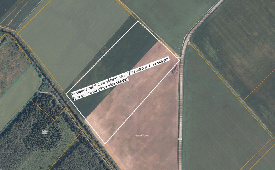 Parduodama 5,20 ha žemės ūkio paskirties sklypo iš bendro 8,10ha, geras privažiavimas (sklypas randasi prie asfaltuoto kelio Gruzdžiai – Staneliai/Rudiškiai).