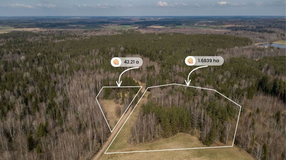 Parduodama sodyba gamtos apsuptyje, netoli Svilės &scaron;altinių &ndash; Gudmoni&scaron;kės k., Kelmės r.