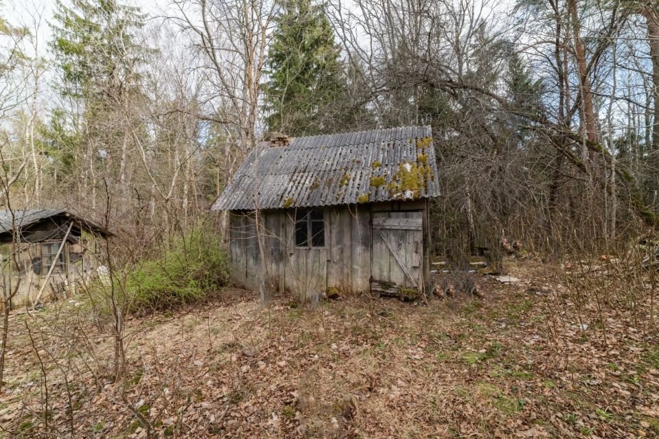 Parduodama sodyba gamtos apsuptyje, netoli Svilės &scaron;altinių &ndash; Gudmoni&scaron;kės k., Kelmės r.