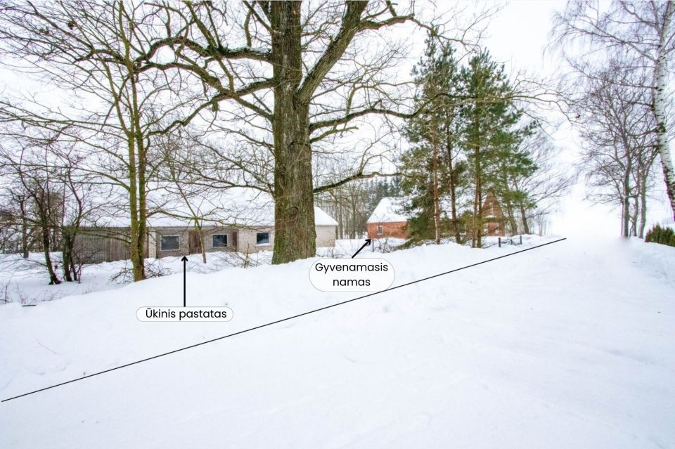 Parduodama sodyba ramioje vietoje, Pakruojo rajone, Butniūnų kaime, Žalioji g. 3