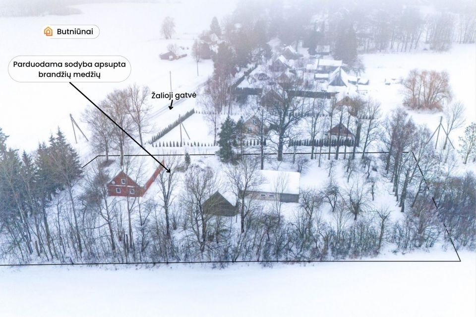 Parduodama sodyba ramioje vietoje, Pakruojo rajone, Butniūnų kaime, Žalioji g. 3