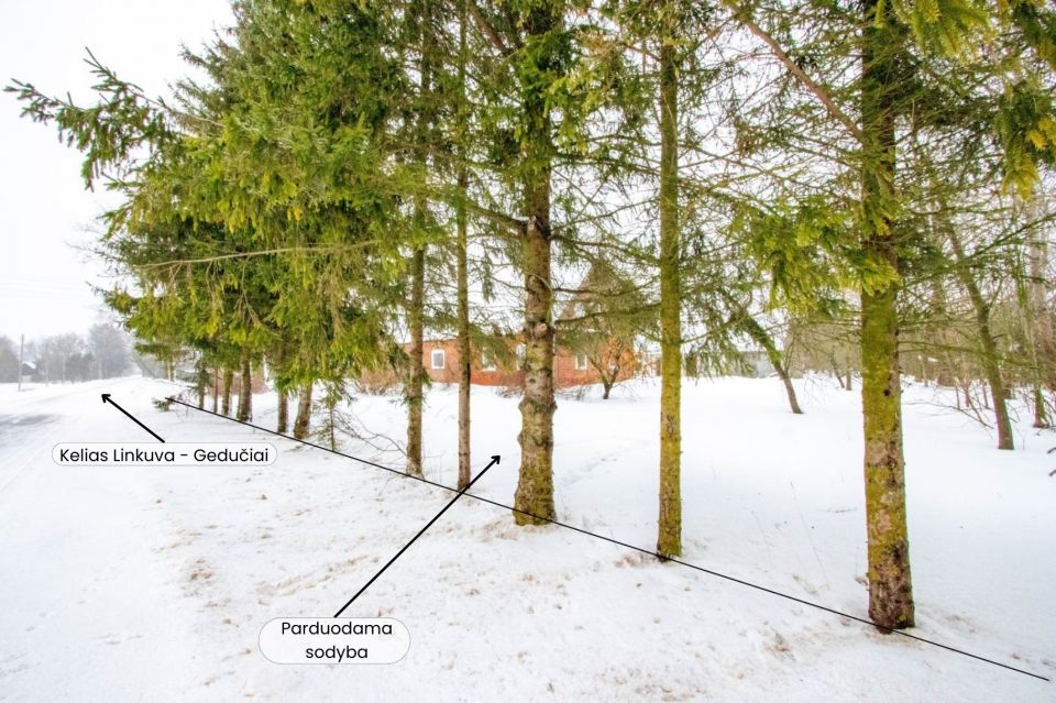 Parduodama sodyba ramioje vietoje, Pakruojo rajone, Butniūnų kaime, Žalioji g. 3